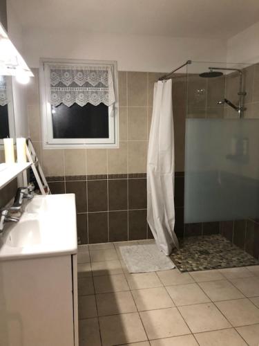 une salle de bain avec douche et lavabo dans l'établissement Maison de vacances aux portes de l'Ardèche, à Saint-Julien-en-Saint-Alban