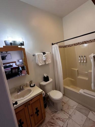 a bathroom with a toilet and a sink and a shower at Adobe Rose Boutique Inn in Artesia