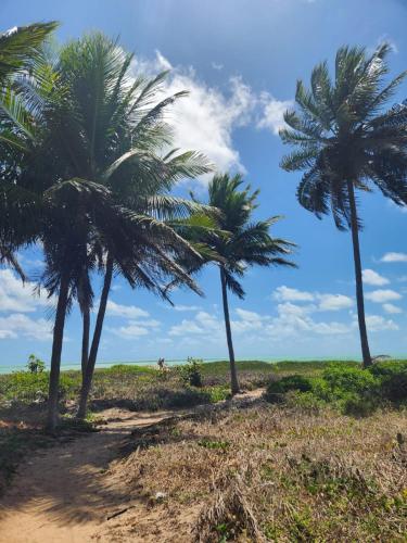 two palm trees on a beach with the ocean in the background at Apartamento Flat, Incrível, 250 M da Praia in Cabedelo