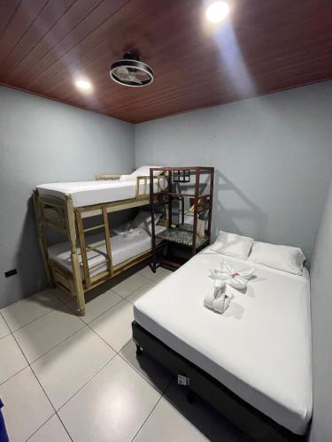 Cama o camas de una habitación en Madroño Hostel