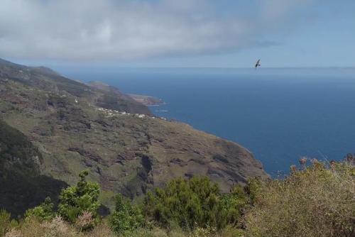 Gallery image of Adorable tiny house El Sitio with amazing views in Tablado de la Montañeta