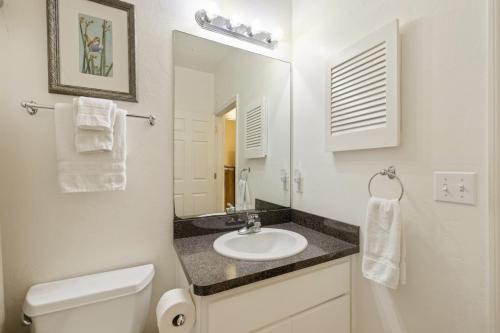 a bathroom with a sink and a toilet and a mirror at Waterfront sunset stilt house in Cedar Key