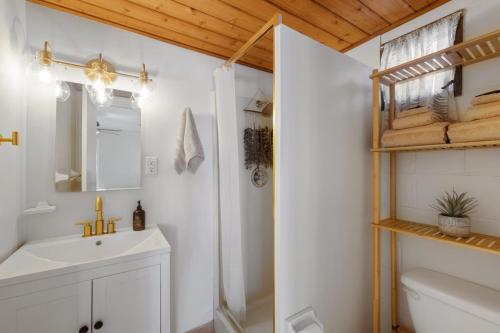 a bathroom with a shower and a sink and a toilet at Gulf front with sand and water access in Cedar Key