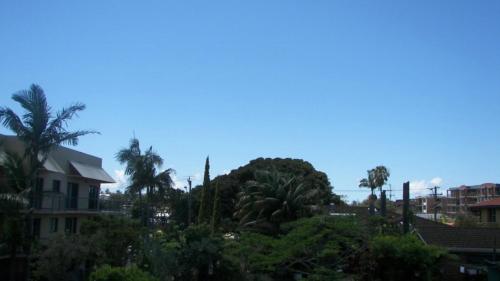 vista su una città con palme e case di 3/17 Park Street a Port Macquarie