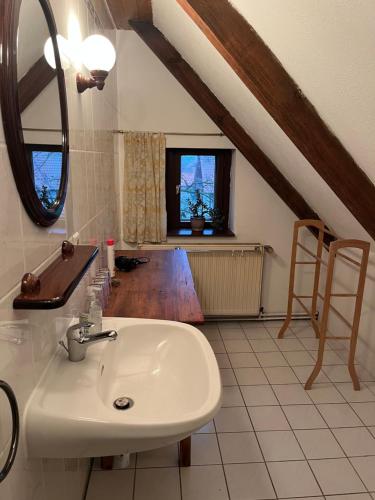 a bathroom with a sink and a mirror at Pfarrhaus Tollensesee in Penzlin