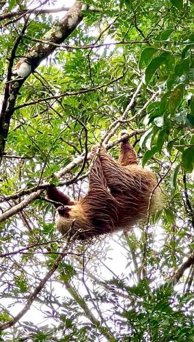 Fotografie z fotogalerie ubytování Monteverde Magic Mountain v destinaci Monteverde Costa Rica