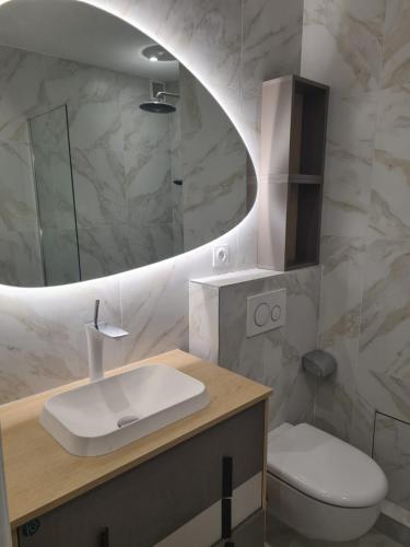 une salle de bain avec un lavabo, des toilettes et un miroir dans l'établissement Superbe Appartement Luxueux Spacieux 50 m2 Port Nice, à Nice