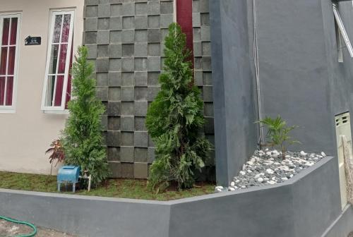 Κήπος έξω από το Villa tsany syari'ah d batu