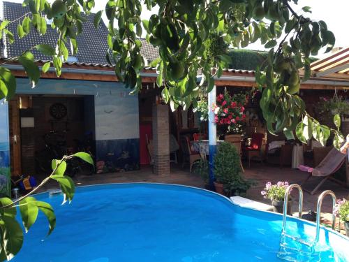 a large blue swimming pool in front of a house at Apartment Lazoroski Arcen in Arcen