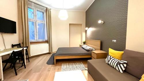 Przestronne Studio w centrum