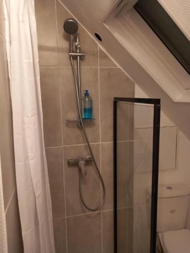 ein Badezimmer mit Dusche mit Glastür in der Unterkunft Hébergement Cozy à Deville-lès-Rouen - 13 min Rouen in Déville-lès-Rouen