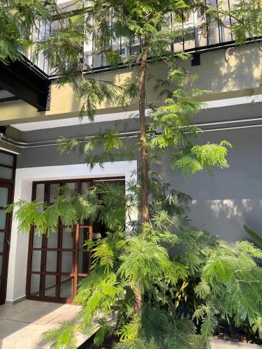 a building with a tree in front of it at Eonia in Atlixco