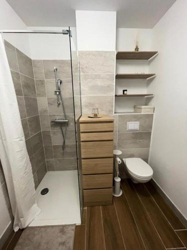 une salle de bain avec douche et toilettes dans l'établissement Varsea Residence - STUDIO BRIATA, COCOONING, VARSEA MAE-3231, à Vars