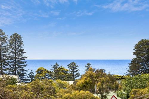 Photo de la galerie de l'établissement Prasino, à Lorne