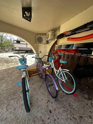 two bikes are parked inside of a trailer at Beach View Room at Barnacle Resort in Big Pine Key
