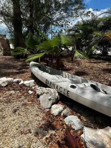 a kayak sitting on the ground next to some trees at Beach View Room at Barnacle Resort in Big Pine Key