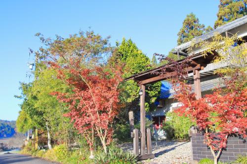 a tree with red leaves next to a building at Ataata Resort in Iga