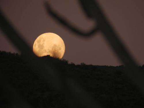 Φωτογραφία από το άλμπουμ του Viento Sur Astro Camping & Cabañas σε Los Hornitos