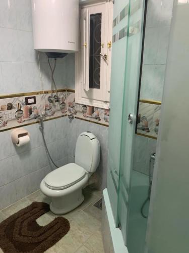 アレクサンドリアにあるNice luxurious stay modern 2 bedroom flat with 3ACs, 3 Flat screen TVs, Free Wi-Fi large balcony in the heart of Alexandriaのトイレとガラスのシャワー付きのバスルーム
