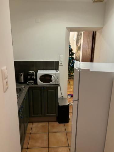 Il comprend une cuisine équipée d'un four micro-ondes et d'un réfrigérateur. dans l'établissement Appartement centre historique, à Tarascon