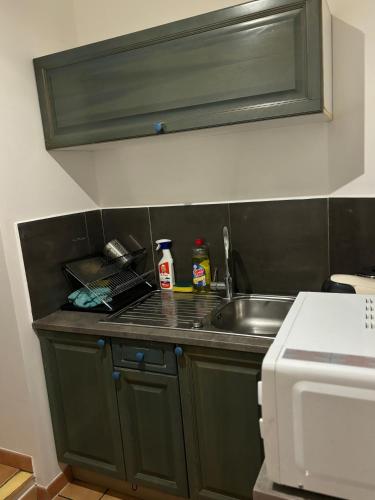 un comptoir de cuisine avec un évier et un micro-ondes dans l'établissement Appartement centre historique, à Tarascon