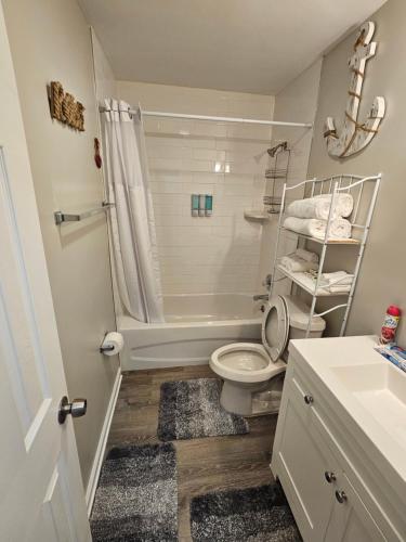 un bagno con wc, doccia e lavandino di The Cozy Townhome a Tallahassee