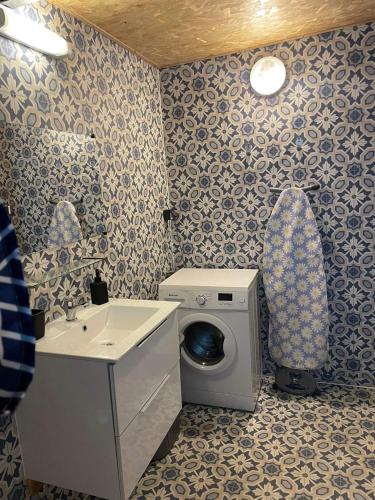 a bathroom with a washing machine and a sink at Le petit bungalow in Village Sainte Anne