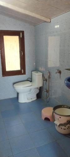 a bathroom with a toilet and a sink at Thakur homes- couple and family friendly homestay in Shimla
