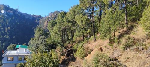 a house on the side of a mountain with trees at Thakur homes- couple and family friendly homestay in Shimla