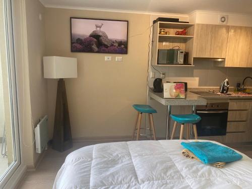 Η κουζίνα ή μικρή κουζίνα στο Departamento céntrico y moderno en Osorno