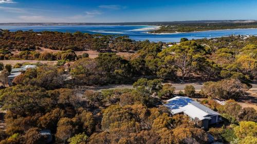 an aerial view of a house in the middle of trees at River Retreat in American River