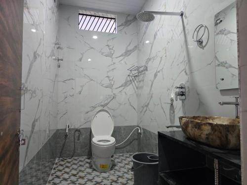 a bathroom with a toilet and a sink at Lakshmi Villa Hampi in Hampi