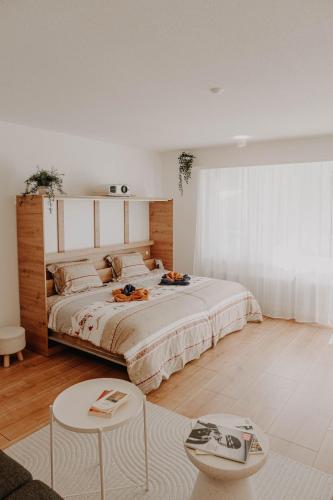 Superb Modern Studio Leukerbad
