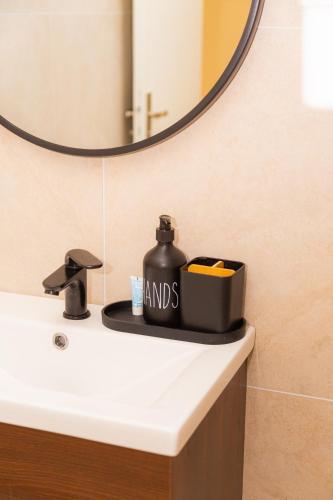 - un lavabo dans la salle de bains avec un distributeur de savon pour les mains dans l'établissement Appartement rénové situé aux portes de Paris, à Villeneuve-la-Garenne