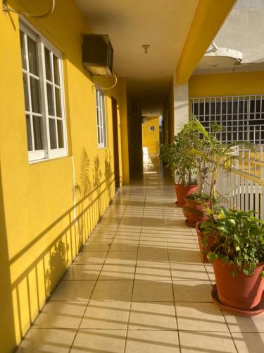 a hallway of a yellow building with potted plants at Habitación triple en hotel el almirante in Tecolutla