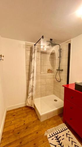 une salle de bain avec douche et une commode rouge dans l'établissement Nid des antiquaires hypercentre Dijon, à Dijon