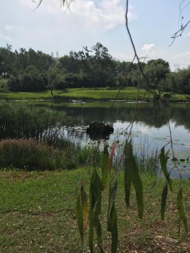 a view of a lake with an animal in the water at The Retreat Country Lodge in Romelcoh