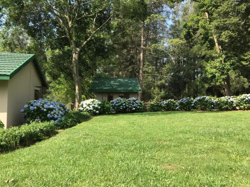 a garden with flowers and a small shed at The Retreat Country Lodge in Romelcoh