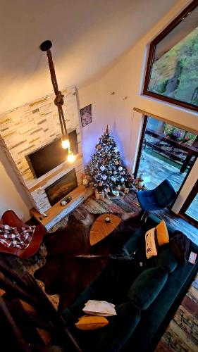 a living room with a christmas tree and a couch at Wild House in Sinaia