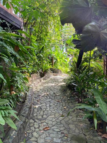 a stone path in the middle of a garden at Ambong Rainforest Retreat in Pantai Cenang
