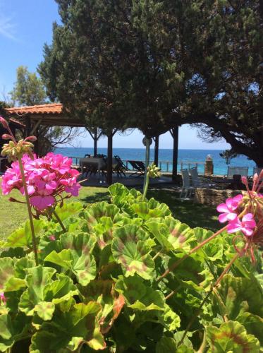 Genari Beach Apartments -Family sea view apartment