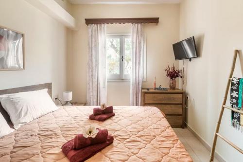 Summer accommodation in Corfu