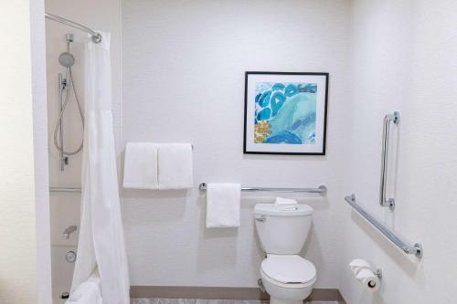 a bathroom with a toilet and a painting on the wall at Hilton Garden Inn Lakewood in Lakewood