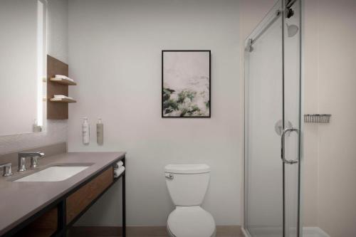a bathroom with a shower and a toilet and a sink at Hilton Garden Inn Casper in Casper