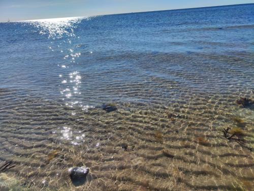 a group of rocks in the water on a beach at Ferienhaus kleiner Leuchtturm - Steuerbord Fehmarn Kopendorf - mit Garten und Terrasse in Fehmarn