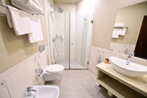 a bathroom with a toilet and a sink and a shower at Natura Family Resort in Avrig