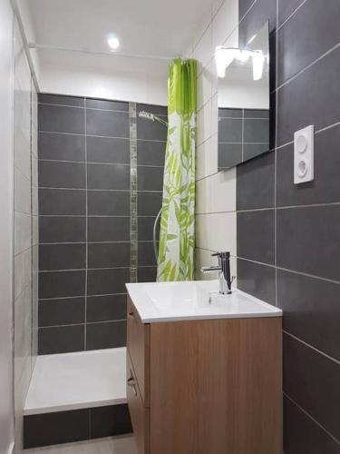 une salle de bain avec un lavabo et une douche dans l'établissement COCON du centre ville avec PARKING et WIFI, à Millau