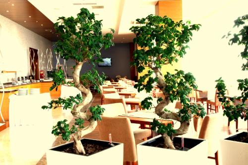 a restaurant with tables and chairs with trees in pots at Orucoglu Oreko Hotel in Manisa