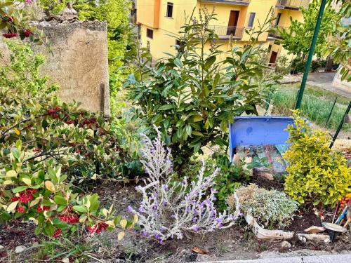 a garden with various plants and a blue container at La casa dell’artista di Vittorio Vertone in Pietragalla