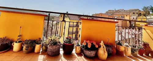 a group of potted plants sitting on a balcony at La casa dell’artista di Vittorio Vertone in Pietragalla